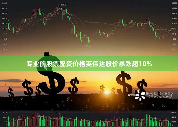 专业的股票配资价格英伟达股价暴跌超10%