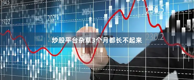 炒股平台杂草3个月都长不起来
