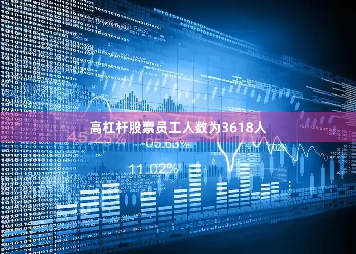 高杠杆股票员工人数为3618人