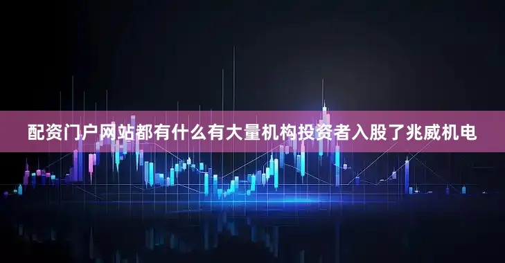 配资门户网站都有什么有大量机构投资者入股了兆威机电