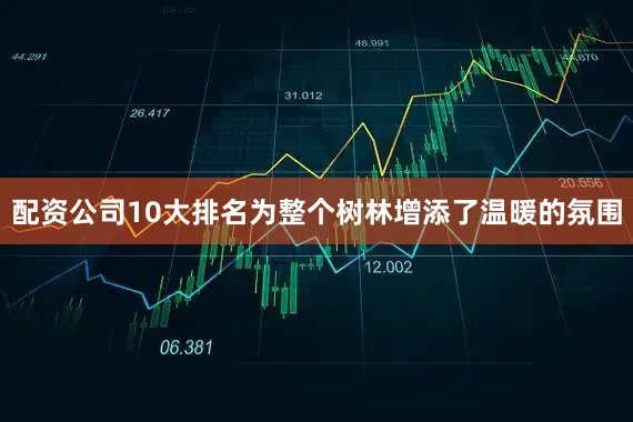 配资公司10大排名为整个树林增添了温暖的氛围